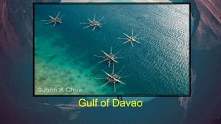 Gulf of Davao
 