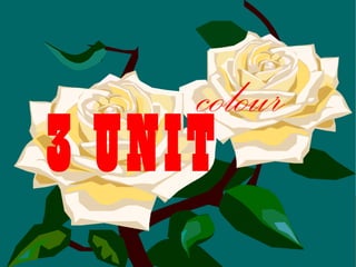 3   UNIT colour 