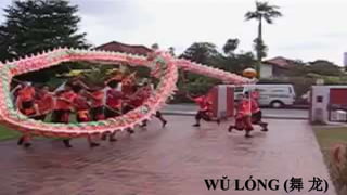 WŬ LÓNG (舞 龙)
 