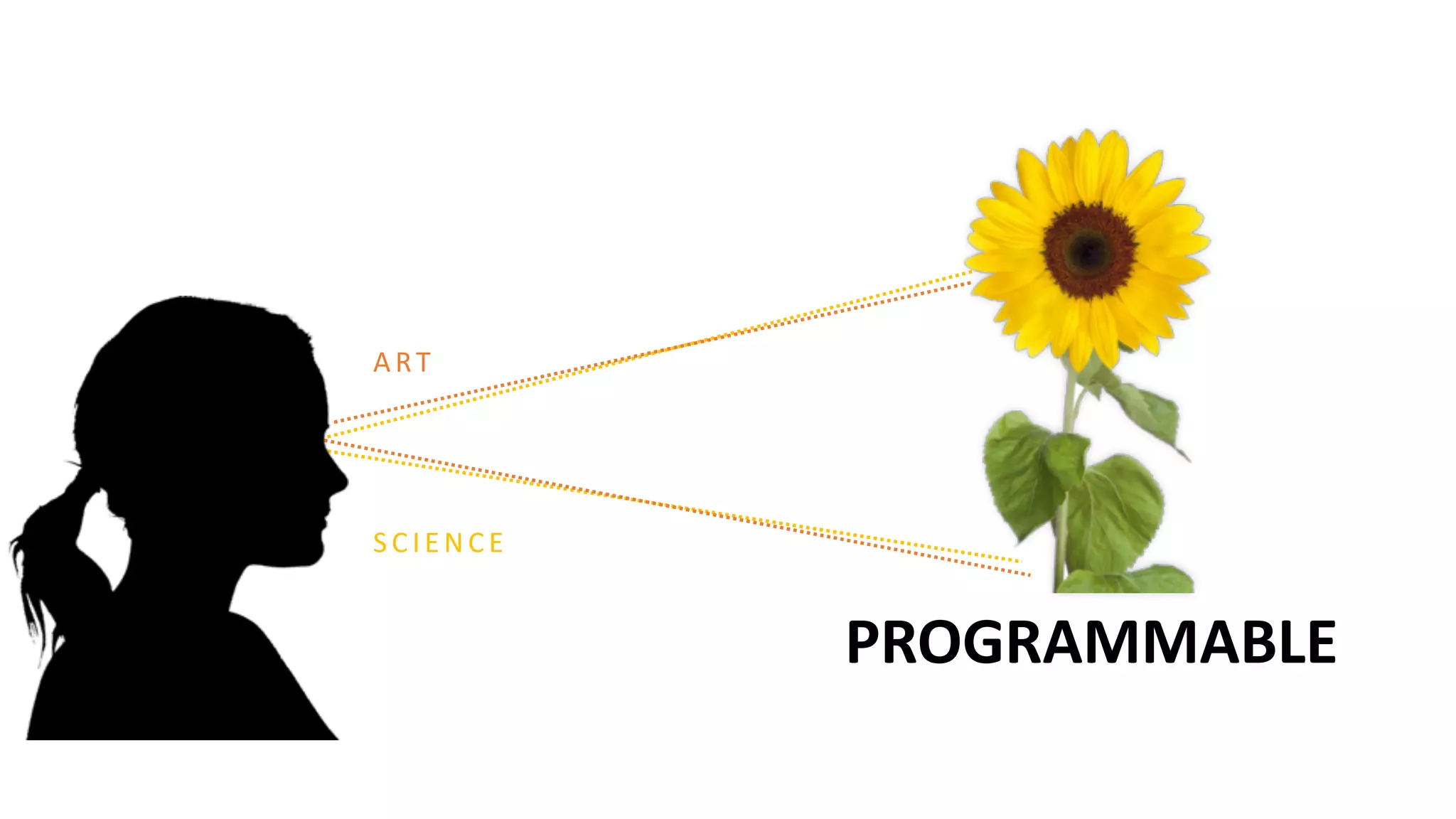 S C IE NC E
ART
PROGRAMMABLE
 