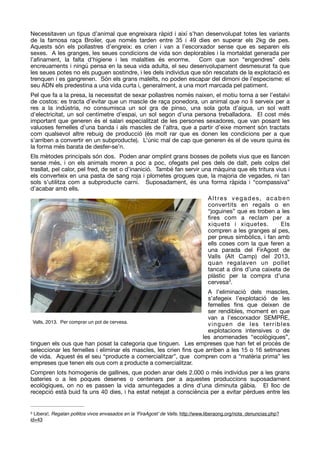 Necessitaven un tipus d’animal que engreixara ràpid i així s’han desenvolupat totes les variants
de la famosa raça Broiler, que només tarden entre 35 i 49 dies en superar els 2kg de pes.
Aquests són els pollastres d’engreix: es crien i van a l’escorxador sense que es separen els
sexes. A les granges, les seues condicions de vida son deplorables i la mortaldat generada per
l’aﬁnament, la falta d’higiene i les malalties és enorme. Com que son “engendres” dels
encreuaments i ningú pensa en la seua vida adulta, el seu desenvolupament desmesurat fa que
les seues potes no els puguen sostindre, i les dels individus que són rescatats de la explotació es
trenquen i es gangrenen. Són els grans maleïts, no poden escapar del dimoni de l’especisme: el
seu ADN els predestina a una vida curta i, generalment, a una mort marcada pel patiment.

Pel que fa a la presa, la necessitat de sexar pollastres només naixen, el motiu torna a ser l’estalvi
de costos: es tracta d’evitar que un mascle de raça ponedora, un animal que no li serveix per a
res a la indústria, no consumisca un sol gra de pinso, una sola gota d’aigua, un sol watt
d’electricitat, un sol centímetre d’espai, un sol segon d’una persona treballadora. El cost més
important que generen és el salari especialitzat de les persones sexadores, que van posant les
valuoses femelles d’una banda i als mascles de l’altra, que a partir d’eixe moment són tractats
com qualsevol altre rebuig de producció (és molt rar que es donen les condicions per a que
s’arriben a convertir en un subproducte). L’únic mal de cap que generen és el de veure quina és
la forma més barata de desfer-se’n.

Els mètodes principals són dos. Poden anar omplint grans bosses de pollets vius que es llancen
sense més, i on els animals moren a poc a poc, ofegats pel pes dels de dalt, pels colps del
trasllat, pel calor, pel fred, de set o d’inanició. També fan servir una màquina que els tritura vius i
els converteix en una pasta de sang roja i plometes grogues que, la majoria de vegades, ni tan
sols s’utilitza com a subproducte carni. Suposadament, és una forma ràpida i “compassiva”
d’acabar amb ells. 

Altres vegades, acaben
convertits en regals o en
“joguines” que es troben a les
ﬁres com a reclam per a
xiquets i xiquetes. Els
compren a les granges al pes,
per preus simbòlics, i fan amb
ells coses com la que feren a
una parada del FirAgost de
Valls (Alt Camp) del 2013,
quan regalaven un pollet
tancat a dins d’una caixeta de
plàstic per la compra d’una
cervesa . 
3
A l’eliminació dels mascles,
s’afegeix l’explotació de les
femelles ﬁns que deixen de
ser rendibles, moment en que
van a l’escorxador SEMPRE,
vinguen de les terribles
explotacions intensives o de
les anomenades “ecològiques”,
tinguen els ous que han posat la categoria que tinguen. Les empreses que han fet el procés de
seleccionar les femelles i eliminar els mascles, les crien ﬁns que arriben a les 15 o 16 setmanes
de vida. Aquest és el seu “producte a comercialitzar”, que compren com a “matèria prima” les
empreses que tenen els ous com a producte a comercialitzar.

Compren lots homogenis de gallines, que poden anar dels 2.000 o més individus per a les grans
bateries o a les poques desenes o centenars per a aquestes produccions suposadament
ecològiques, on no es passen la vida amuntegades a dins d’una diminuta gàbia. El lloc de
recepció està buid fa uns 40 dies, i ha estat netejat a consciència per a evitar pèrdues entre les
Libera!, Regalan pollitos vivos envasados en la ‘FiraAgost’ de Valls, http://www.liberaong.org/nota_denuncias.php?3
id=43
Valls, 2013.  Per comprar un pot de cervesa.
 