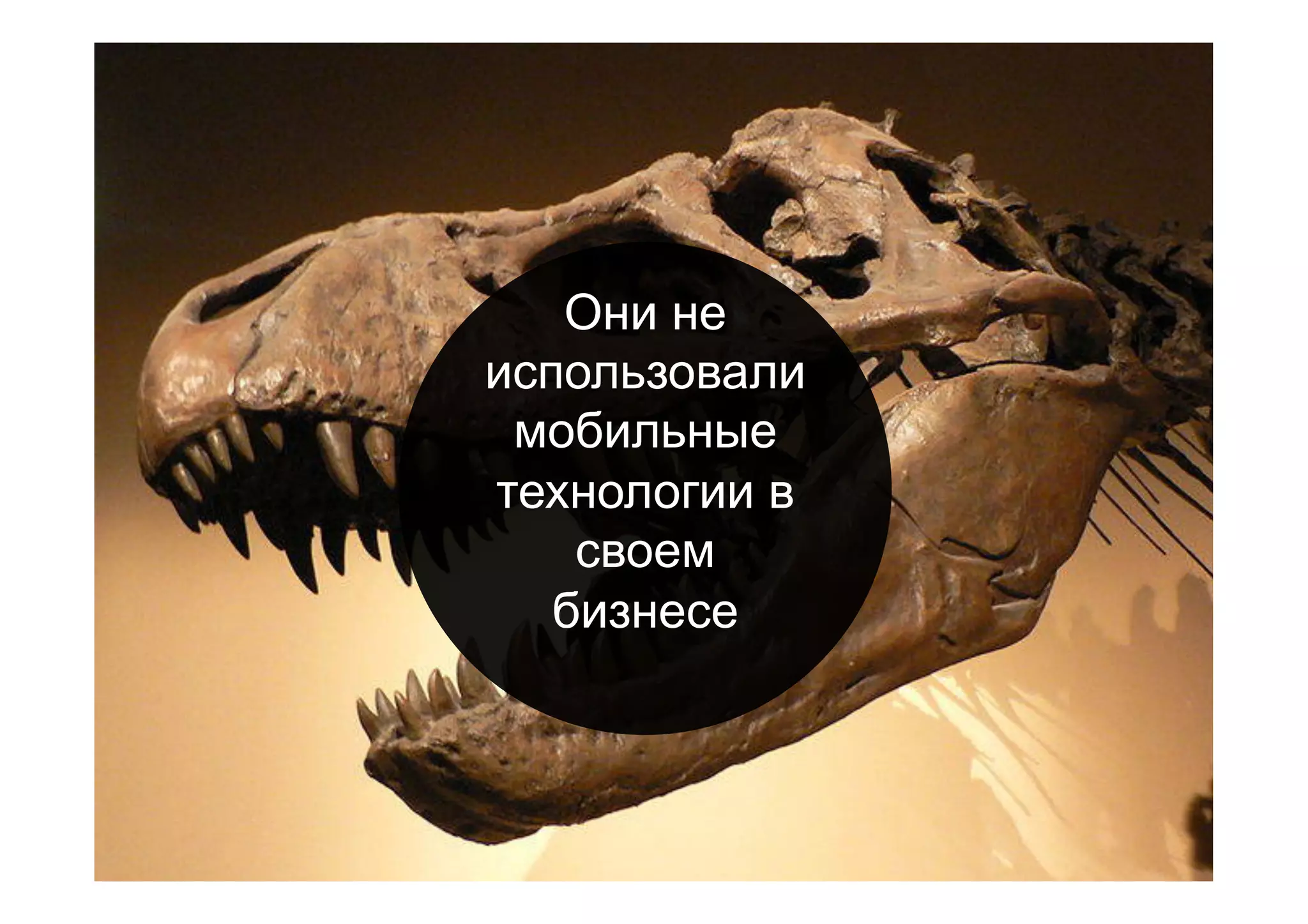 Они не
использовали
мобильные
технологии в
своем
бизнесе
 