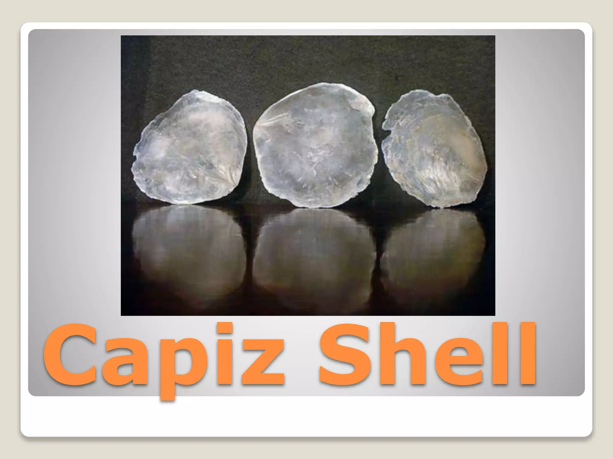 Capiz Shell
 