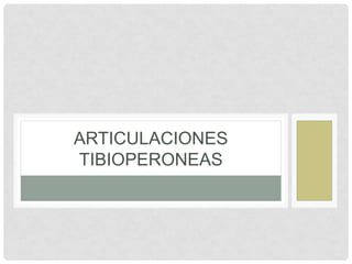ARTICULACIONES 
TIBIOPERONEAS 
 