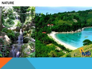 NATURE

 