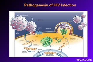 Pathogenesis of HIV Infection
 