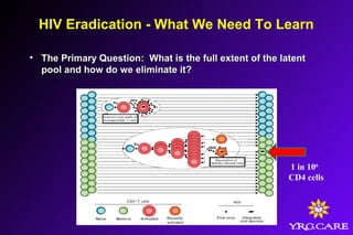 HIV Eradication - What We Need To Learn
• The Primary Question: What is the full extent of the latentThe Primary Question: What is the full extent of the latent
pool and how do we eliminate it?pool and how do we eliminate it?
1 in 106
CD4 cells
 