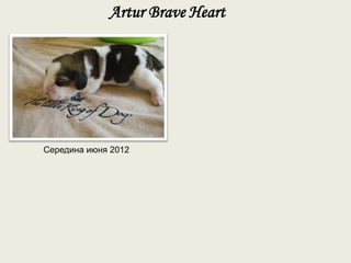 Artur Brave Heart




Середина июня 2012
 