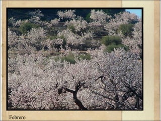 Febrero
