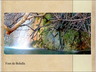 Font de Bolulla
