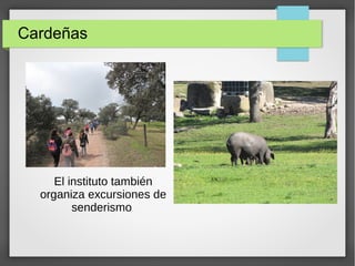 El instituto también
organiza excursiones de
senderismo
Cardeñas
 