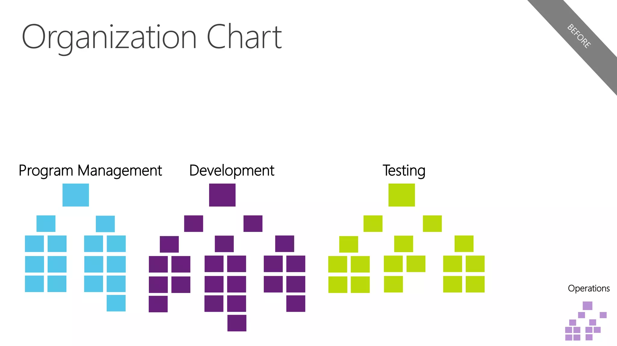 Program Management Development Testing
Operations
 