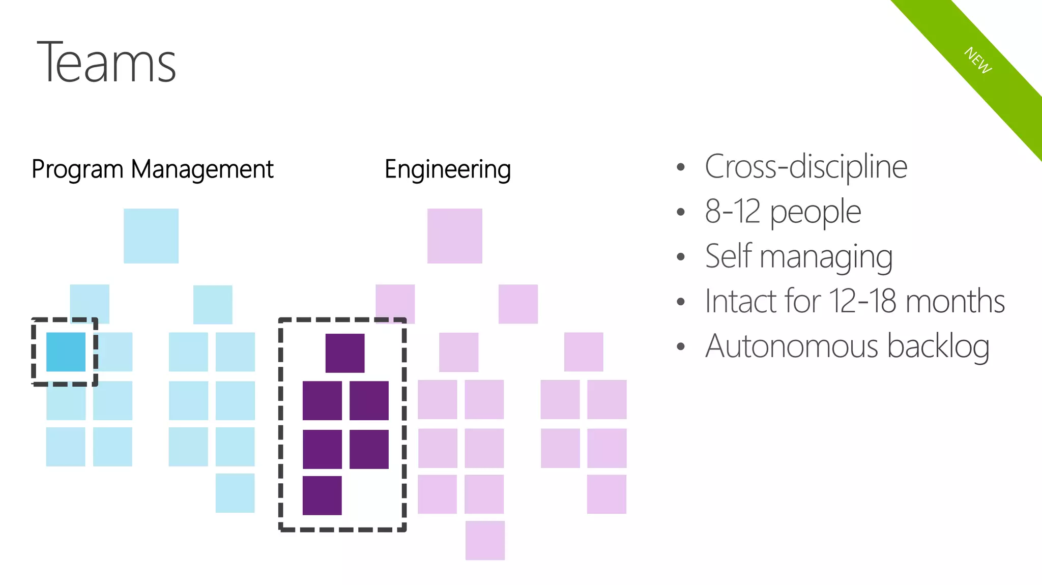 Program Management Engineering
 