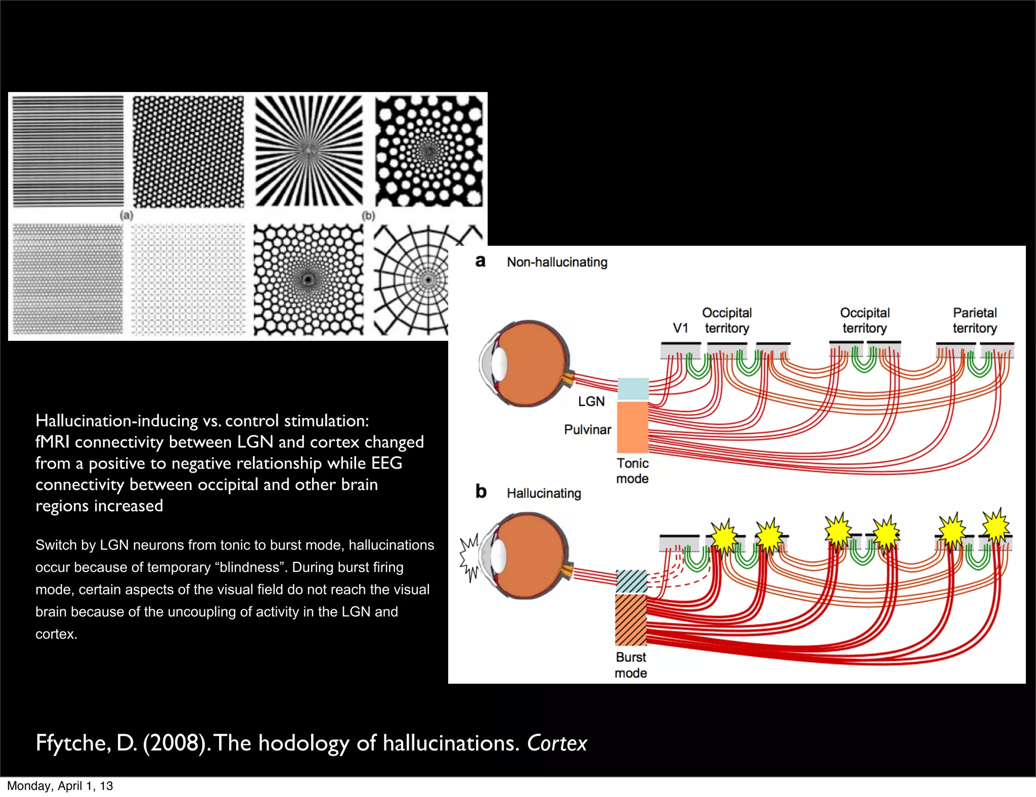 Hallucination-inducing vs. control stimulation:
     fMRI connectivity between LGN and cortex changed
     from a positive to negative relationship while EEG
     connectivity between occipital and other brain
     regions increased

     Switch by LGN neurons from tonic to burst mode, hallucinations
     occur because of temporary “blindness”. During burst firing
     mode, certain aspects of the visual field do not reach the visual
     brain because of the uncoupling of activity in the LGN and
     cortex.




     Ffytche, D. (2008). The hodology of hallucinations. Cortex
Monday, April 1, 13
 