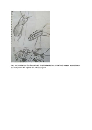 Here is a compilation I did of some insect pencil drawings. I am overall quite pleased with this piece
as I really feel that it captures the subject very well.
 