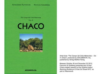 Artist book "The Campo del Cielo Meteorites – Vol.
II: Chaco", produced by dOCUMENTA (13),
published by Verlag Walther König.
Between October 26 and December 22 2012,
Faivovich & Goldberg presented part of their
Chaco-related research at the Goethe-Institut
Wyoming Building at 5 East 3rd Street NYC. as
part of Resonance.
 