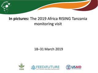 In pictures: The 2019 Africa RISING Tanzania
monitoring visit
18–31 March 2019
 
