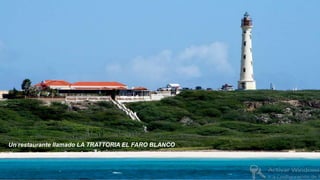Un restaurante llamado LA TRATTORIA EL FARO BLANCO
 