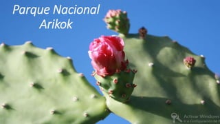 Parque Nacional
Arikok
 