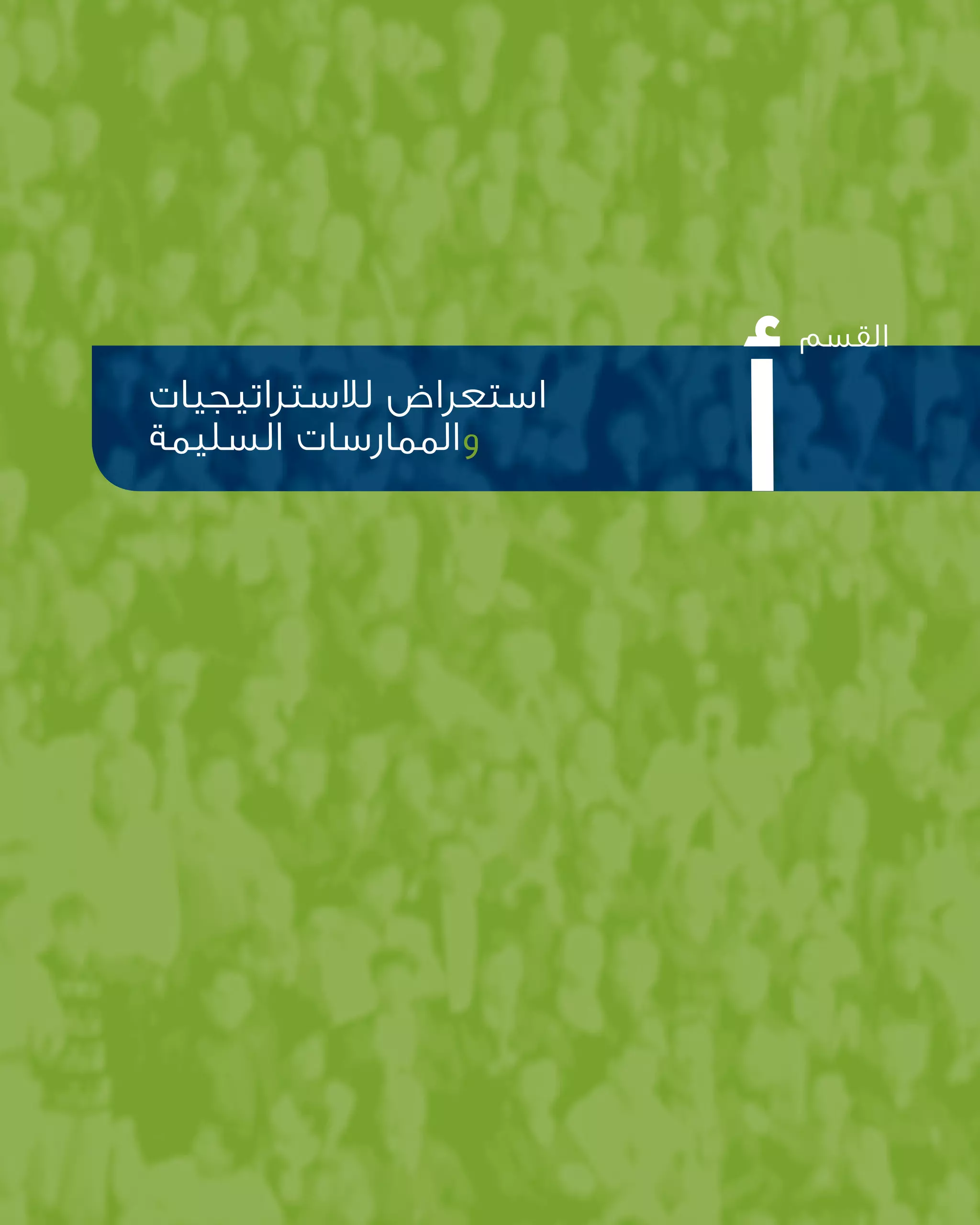 19 ‫السليمة‬ ‫الممارسات‬ ‫دليل‬
‫القسم‬
‫لالستراتيجيات‬ ‫استعراض‬
‫السليمة‬ ‫والممارسات‬
‫أ‬
 
