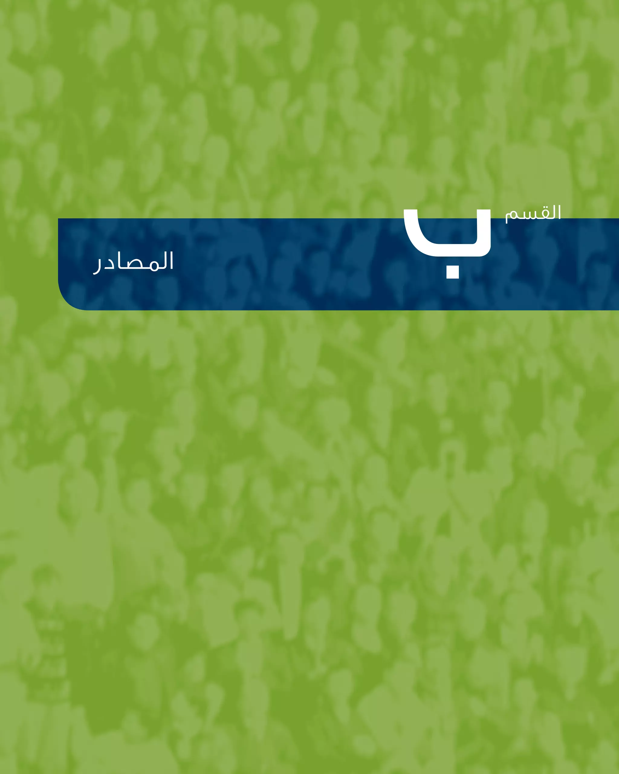 37 ‫السليمة‬ ‫الممارسات‬ ‫دليل‬
‫القسم‬
‫ب‬‫المصادر‬
 