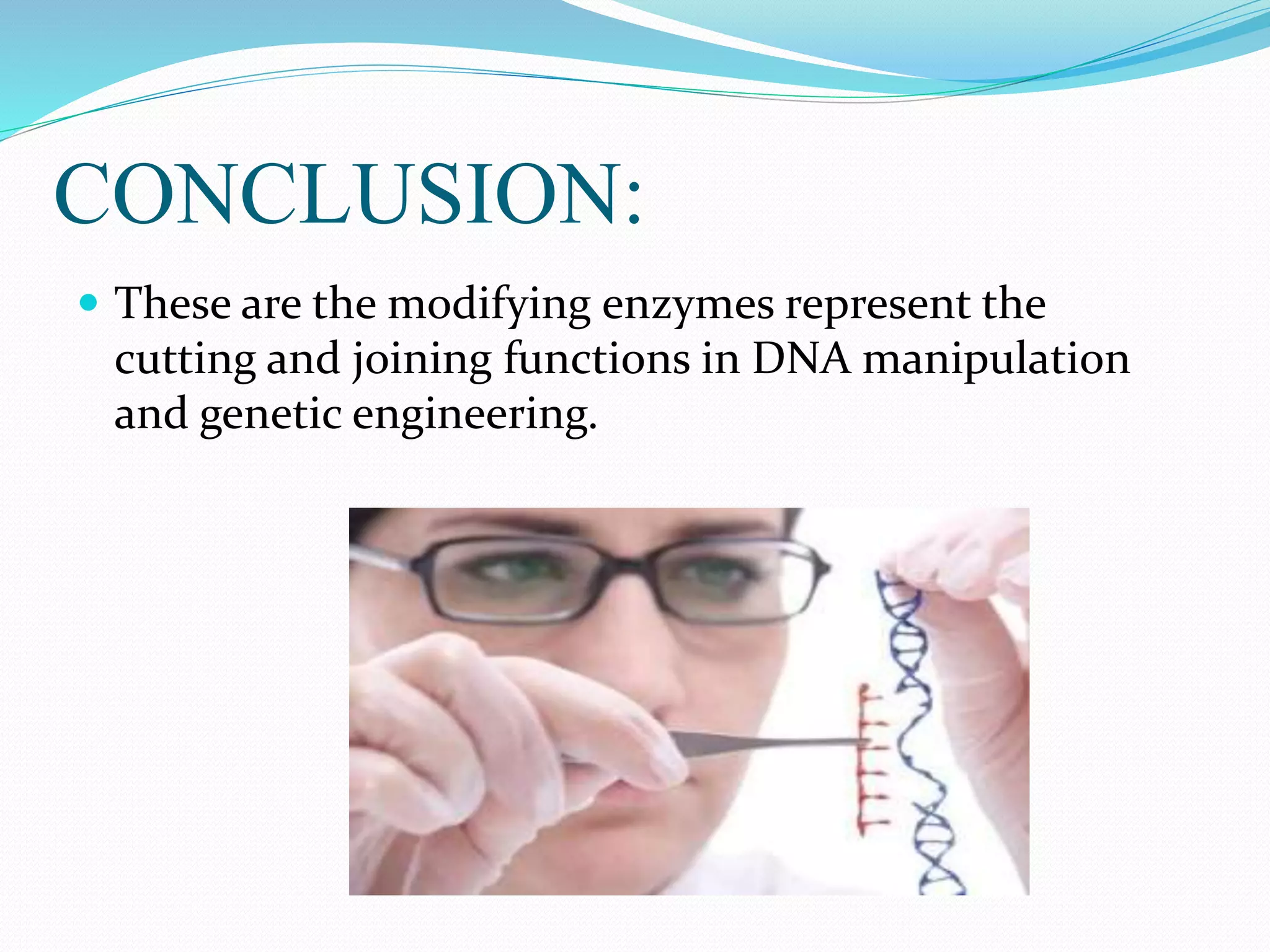 CONCLUSION:
 These are the modifying enzymes represent the
cutting and joining functions in DNA manipulation
and genetic engineering.
 