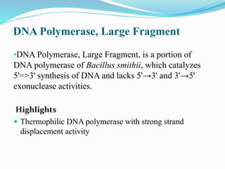 DNA Polymerase, Large Fragment
•DNA Polymerase, Large Fragment, is a portion of
DNA polymerase of Bacillus smithii, which catalyzes
5'=>3' synthesis of DNA and lacks 5'→3' and 3'→5'
exonuclease activities.
Highlights
 Thermophilic DNA polymerase with strong strand
displacement activity
 