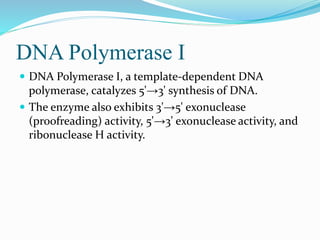 DNA Polymerase I
 DNA Polymerase I, a template-dependent DNA
polymerase, catalyzes 5'→3' synthesis of DNA.
 The enzyme also exhibits 3'→5' exonuclease
(proofreading) activity, 5'→3' exonuclease activity, and
ribonuclease H activity.
 