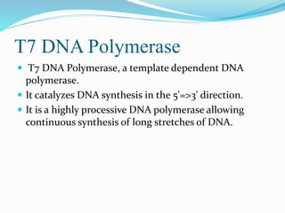 T7 DNA Polymerase
 T7 DNA Polymerase, a template dependent DNA
polymerase.
 It catalyzes DNA synthesis in the 5'=>3' direction.
 It is a highly processive DNA polymerase allowing
continuous synthesis of long stretches of DNA.
 