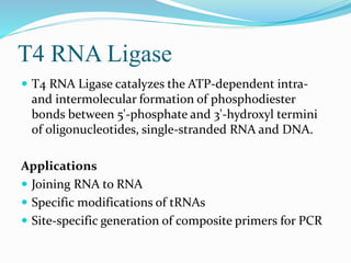 T4 RNA Ligase
 T4 RNA Ligase catalyzes the ATP-dependent intra-
and intermolecular formation of phosphodiester
bonds between 5'-phosphate and 3'-hydroxyl termini
of oligonucleotides, single-stranded RNA and DNA.
Applications
 Joining RNA to RNA
 Specific modifications of tRNAs
 Site-specific generation of composite primers for PCR
 