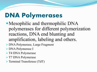 DNA Polymerases
Mesophilic and thermophilic DNA
polymerases for different polymerization
reactions, DNA end blunting and
amplification, labeling and others.
 DNA Polymerase, Large Fragment
 DNA Polymerase I
 T4 DNA Polymerase
 T7 DNA Polymerase
 Terminal Transferase (TdT)
 