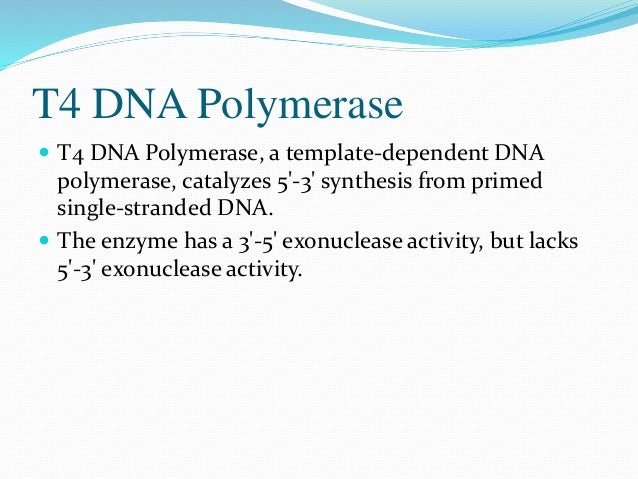 modifying enzymes