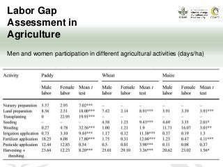 Labor Gap
Assessment in
Agriculture
Men and women participation in different agricultural activities (days/ha)
 