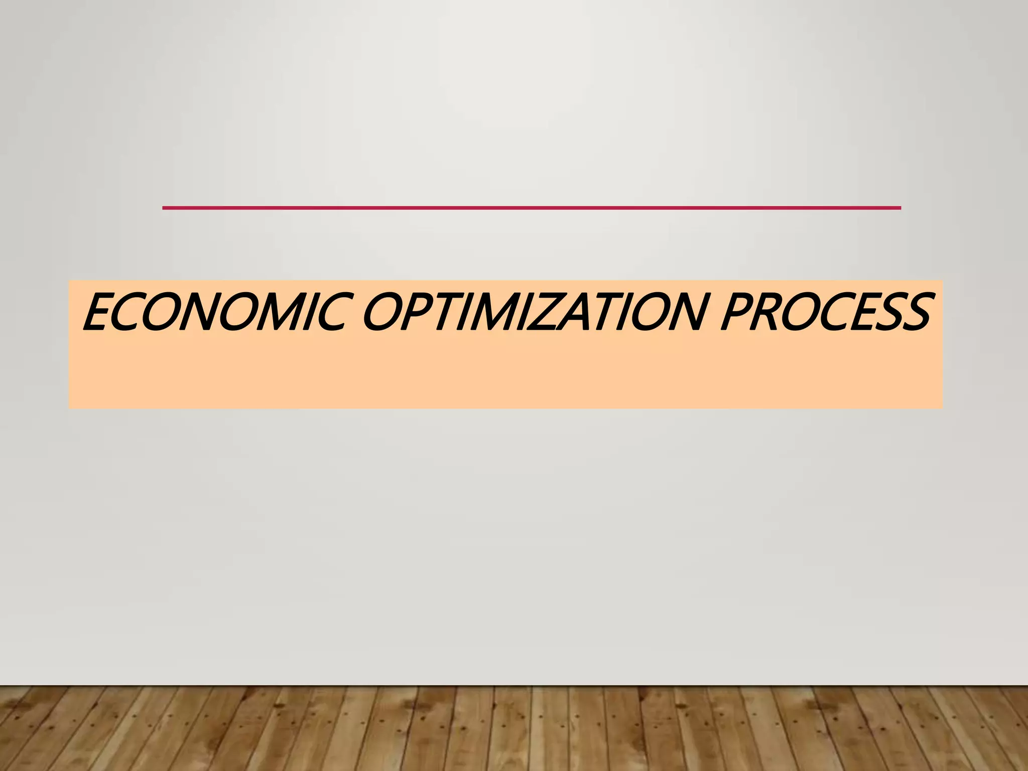 ECONOMIC OPTIMIZATION PROCESS
 
