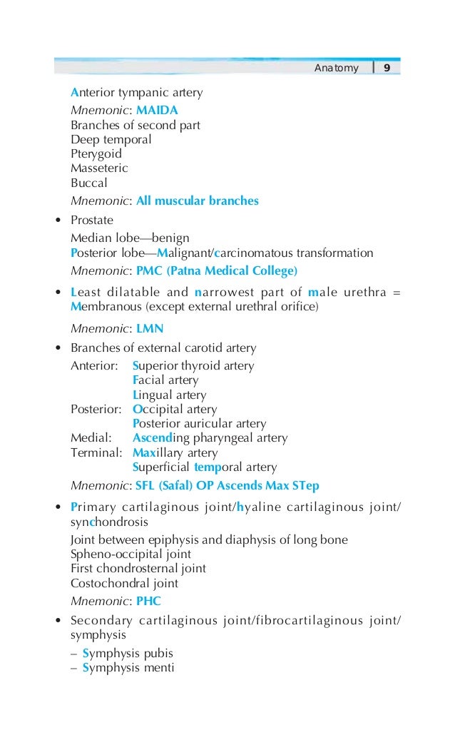 Anatomy Mnemonics Lower Limb Pdf