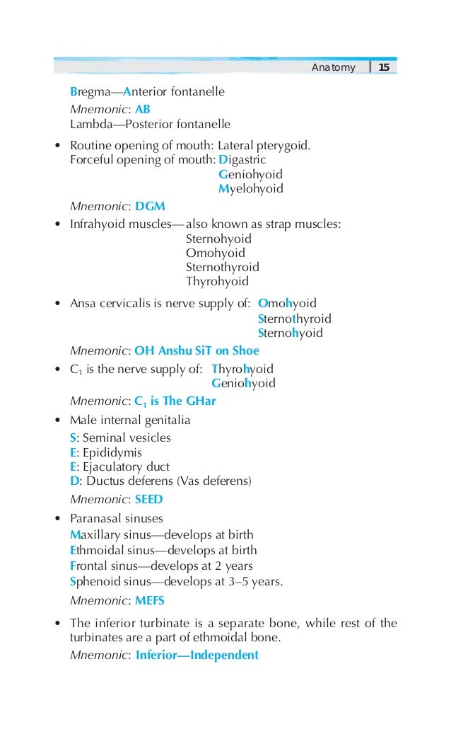 Stomach Bed Structures Mnemonic Stomach Bed Structures Mnemonic