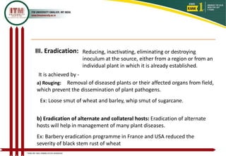 PLANT DISEASE MANAGEMENT PRINCIPLES AND ITS IMPORTANCE | PPTX