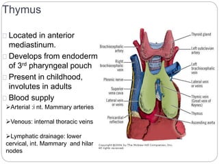 Thymus 
Located in anterior 
mediastinum. 
Develops from endoderm 
of 3rd pharyngeal pouch 
Present in childhood, 
involutes in adults 
Blood supply 
Arterial :i nt. Mammary arteries 
Venous: internal thoracic veins 
Lymphatic drainage: lower 
cervical, int. Mammary and hilar 
nodes 
 