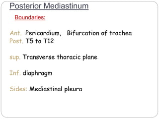 Posterior Mediastinum 
Boundaries: 
Ant. Pericardium, Bifurcation of trachea 
Post. T5 to T12 
sup. Transverse thoracic plane 
Inf. diaphragm 
Sides: Mediastinal pleura 
17 
 