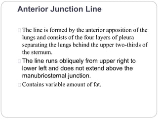 Anterior Junction Line 
The line is formed by the anterior apposition of the 
lungs and consists of the four layers of pleura 
separating the lungs behind the upper two-thirds of 
the sternum. 
The line runs obliquely from upper right to 
lower left and does not extend above the 
manubriosternal junction. 
Contains variable amount of fat. 
 
