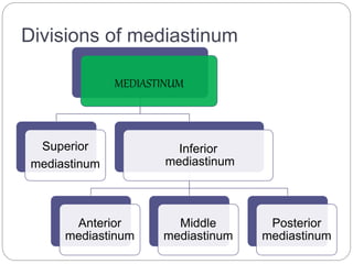 Divisions of mediastinum 
MEDIASTINUM 
Superior 
mediastinum 
Inferior 
mediastinum 
Anterior 
mediastinum 
Middle 
mediastinum 
Posterior 
mediastinum 
 