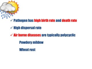  Pathogen has high birth rate and death rate
 High dispersal rate
 Air borne diseases are typically polycyclic
Powdery mildew
Wheat rust
 