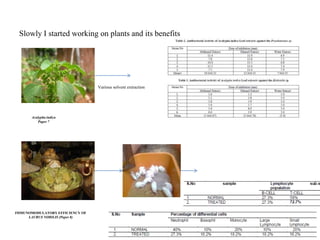 Slowly I started working on plants and its benefits
Acalypha indica
Paper 7
Various solvent extraction
IMMUNOMODULATORY EFFICIENCY OF
LAURUS NOBILIS (Paper 8)
 
