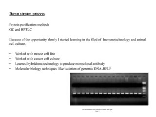 Down stream process
Protein purification methods
GC and HPTLC
Because of the opportunity slowly I started learning in the filed of Immunotechnology and animal
cell culture.
• Worked with mouse cell line
• Worked with cancer cell culture
• Learned hybridoma technology to produce monoclonal antibody
• Molecular biology techniques like isolation of genomic DNA ,RFLP
Gel Documentation of PCR Product of human mthfr gene
Paper 5
 