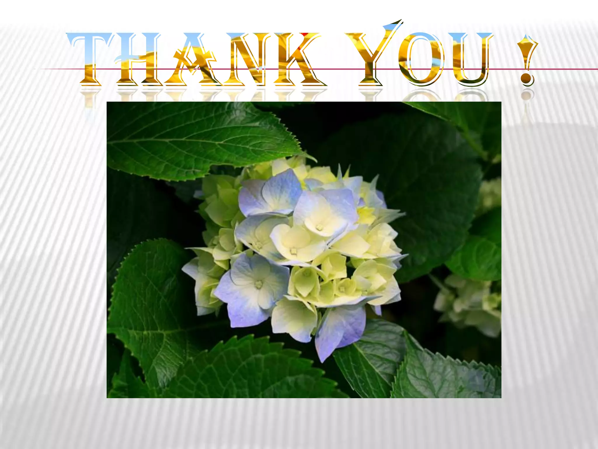 forest and wildlife resources