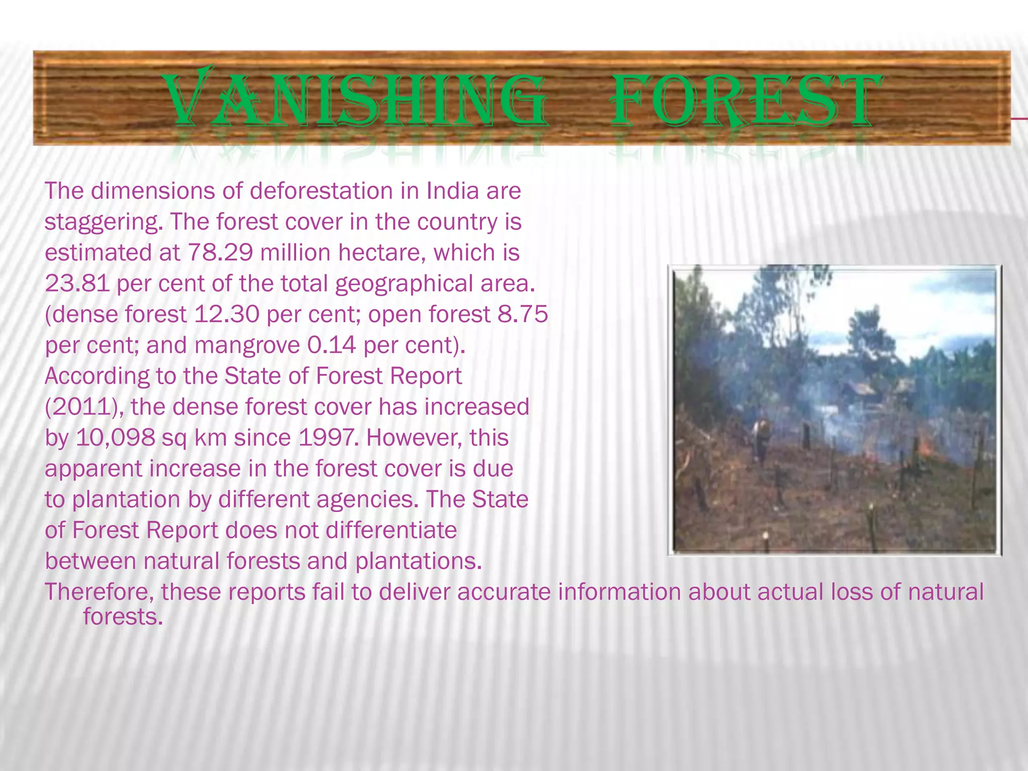 VANISHING FOREST
The dimensions of deforestation in India are
staggering. The forest cover in the country is
estimated at 78.29 million hectare, which is
23.81 per cent of the total geographical area.
(dense forest 12.30 per cent; open forest 8.75
per cent; and mangrove 0.14 per cent).
According to the State of Forest Report
(2011), the dense forest cover has increased
by 10,098 sq km since 1997. However, this
apparent increase in the forest cover is due
to plantation by different agencies. The State
of Forest Report does not differentiate
between natural forests and plantations.
Therefore, these reports fail to deliver accurate information about actual loss of natural
forests.

 