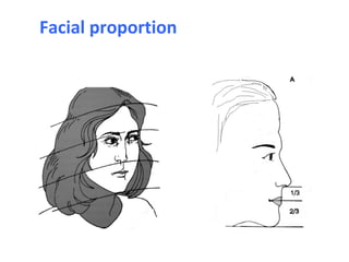 Facial proportion
 