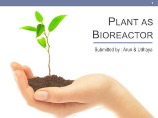 Plant as Bioreactor Submitted by : Arun & Udhaya 1 