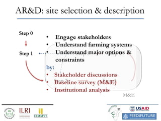 Why and how to implement a AR&D approach for Africa RISING? Preliminary results of a fast-track project
