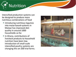 Africa RISING introduction and update 